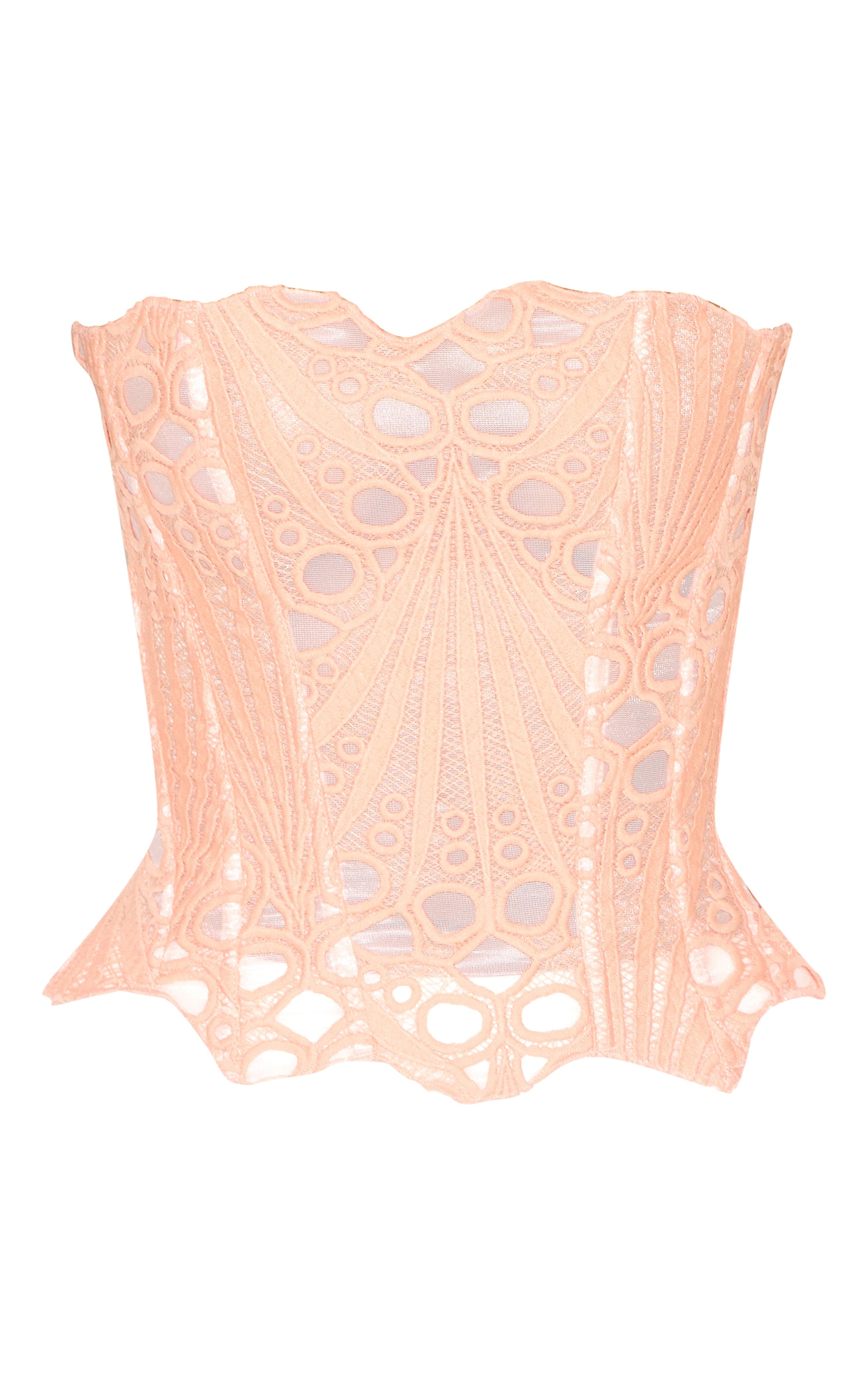 https://cdn-img.prettylittlething.com/d/c/9/b/dc9b6bd1e122abd305ba79fbeec677fcff5bf71b_CNM2901_5_peach_textured_sheer_floral_lace_corset.jpg
